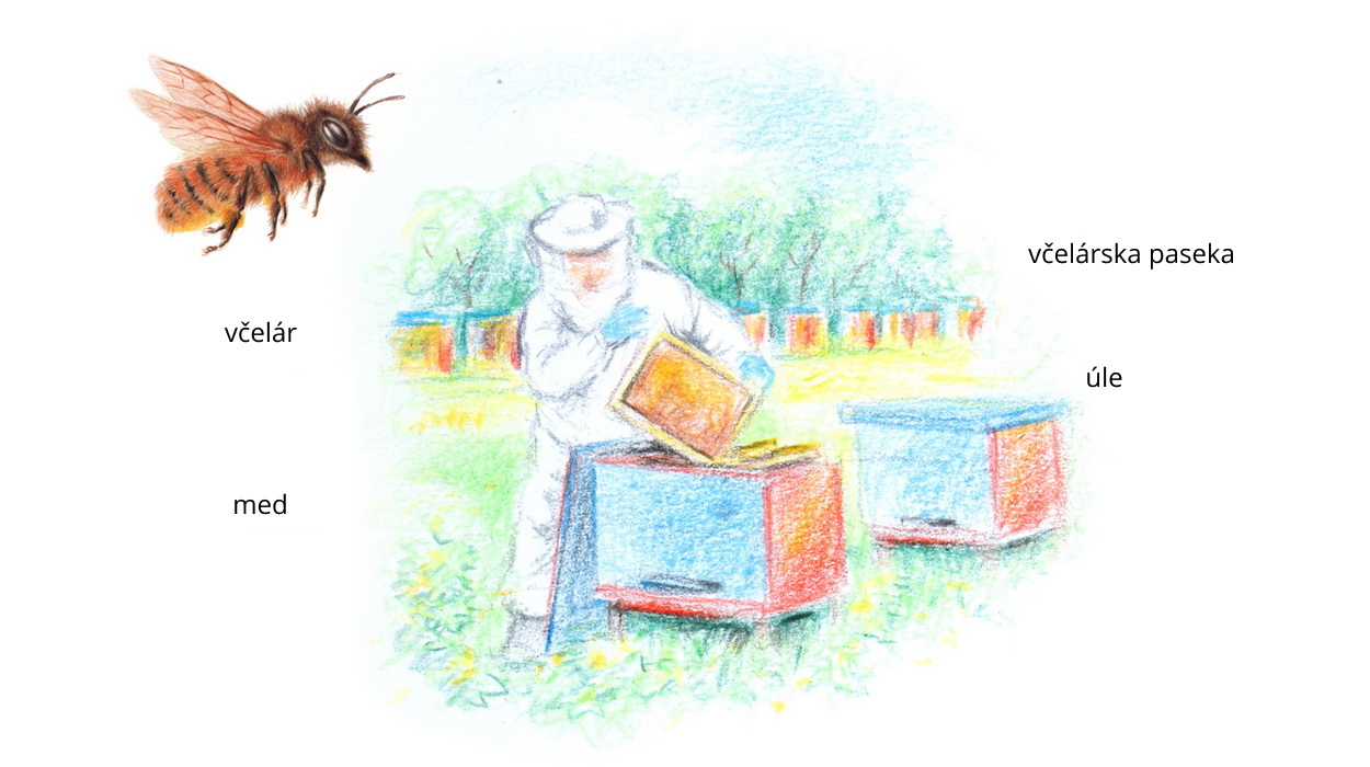 Včelárstvo