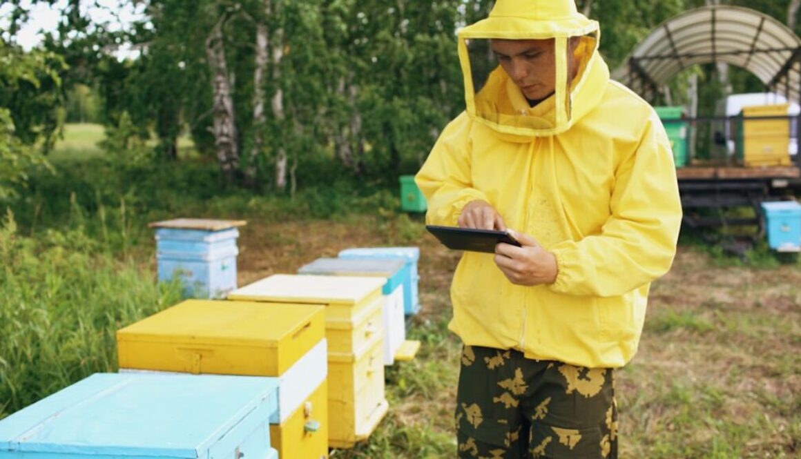 Dlaczego pszczoły są ważne dla rolnictwa - rola w uprawach