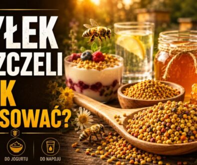 pyłek pszczeli jak stosować