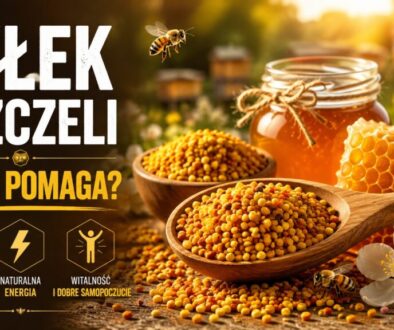 pyłek pszczeli na co pomaga
